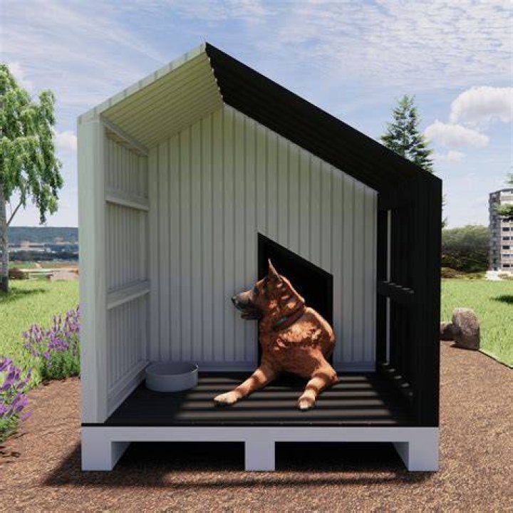 Are you in the dog house?