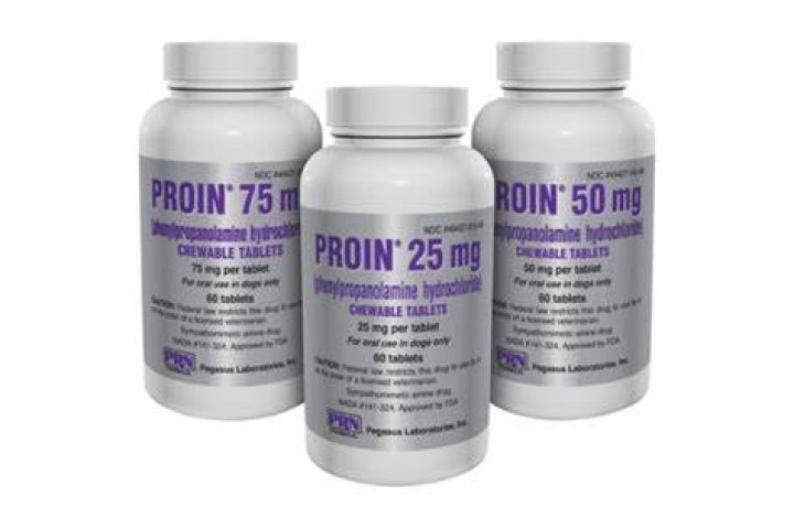 Can proin be used for male dogs?