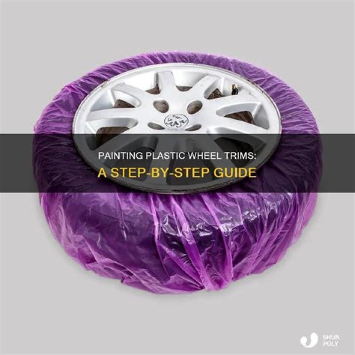 Can you paint plastic wheel covers?