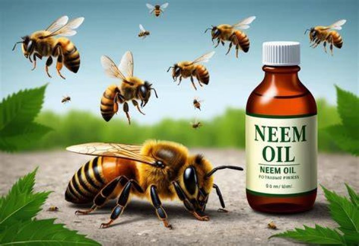 Do bees like neem oil?