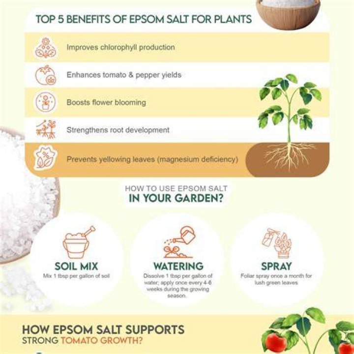 Does Epsom salt work as a fertilizer?