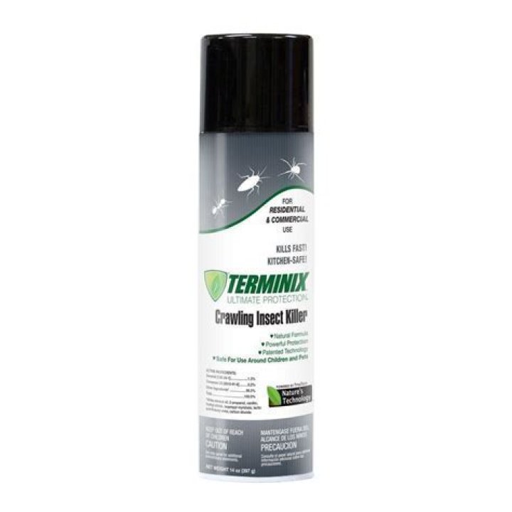 Does Terminix cover fleas?