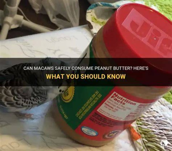 How can we consume peanut butter?