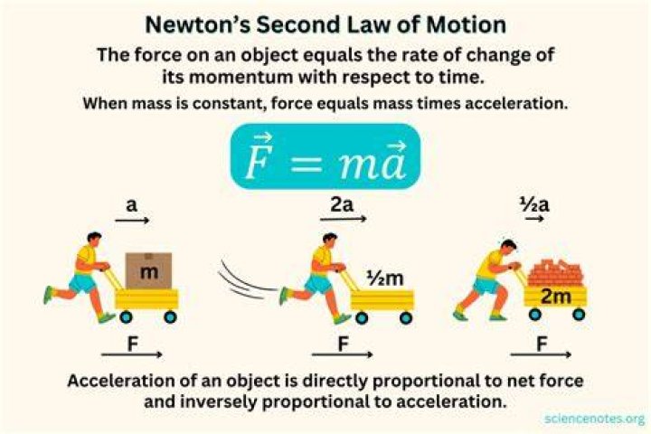 How do you express Newtons?