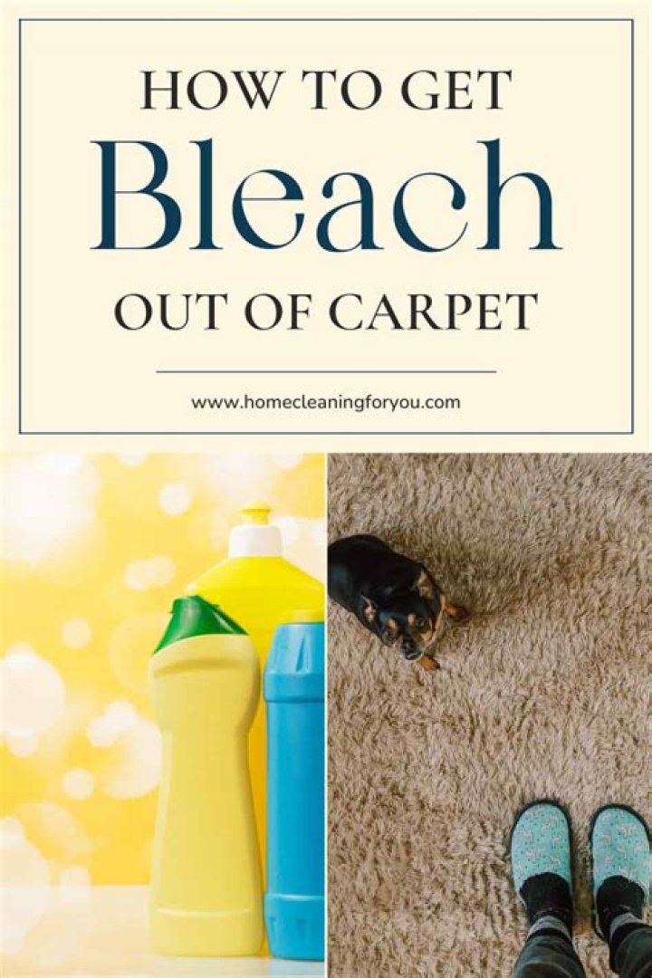 How do you get bleach stains out of carpet?