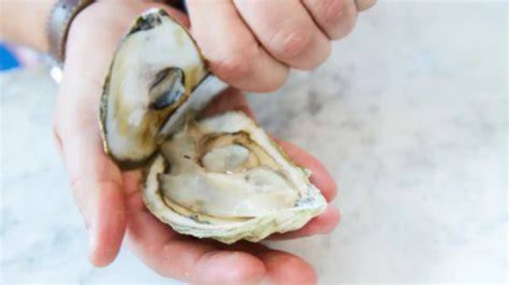 How do you know if an oyster is bad?