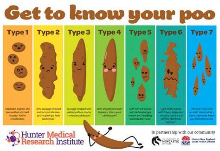 How do you poop in school?