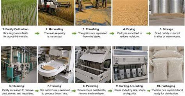 How is Rice manufactured?