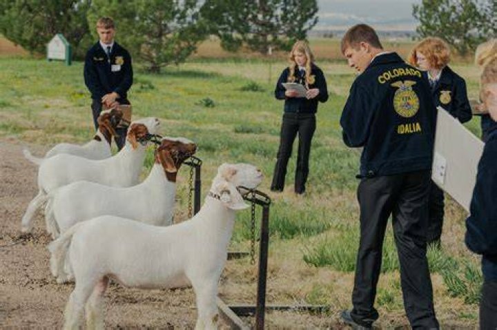 How many FFA CDEs are there?