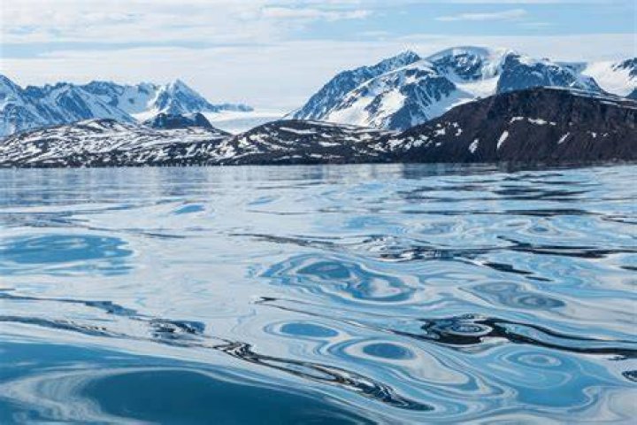 How much water is in the tundra?