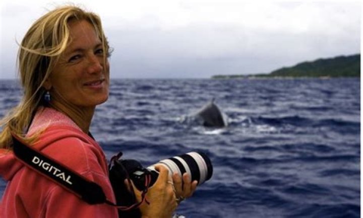 How Old Is Nan Hauser? Everything On The Biologist Saved By A Humpback Whale