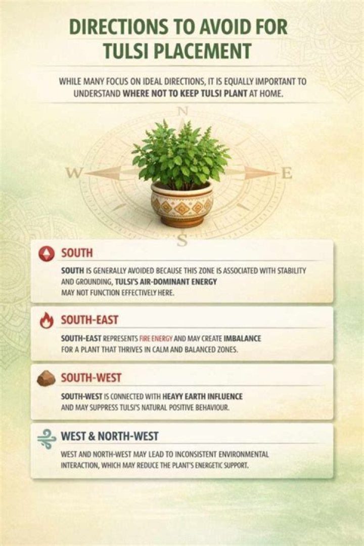 In which direction Tulsi plant should be kept?