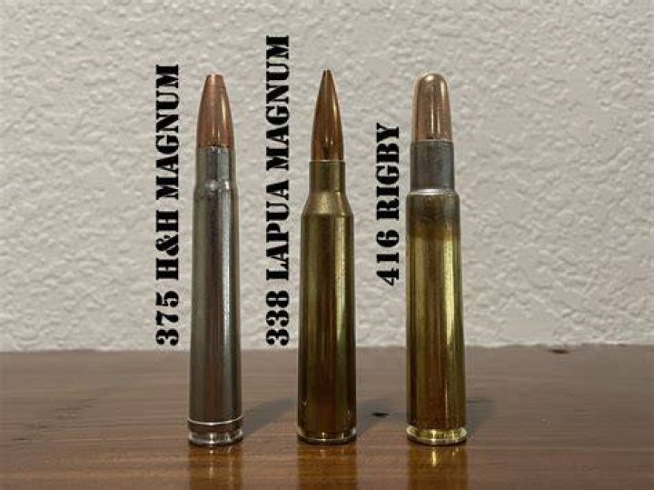 Is a 338 win mag good for deer?