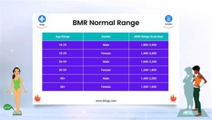 Is a lower BMR better?