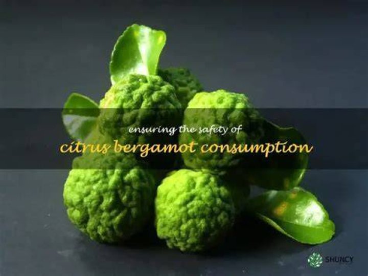 Is Citrus Bergamot safe?