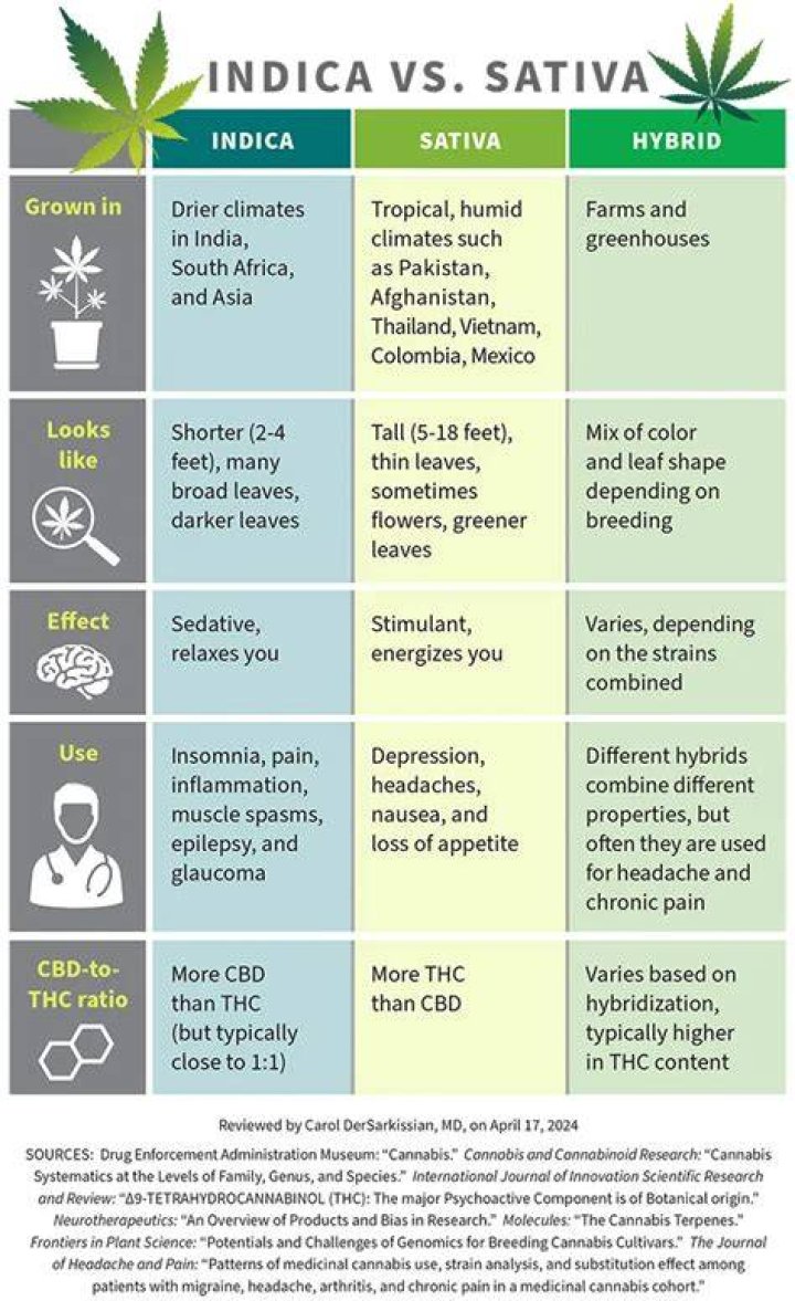 Is Indica or Sativa better for creativity?