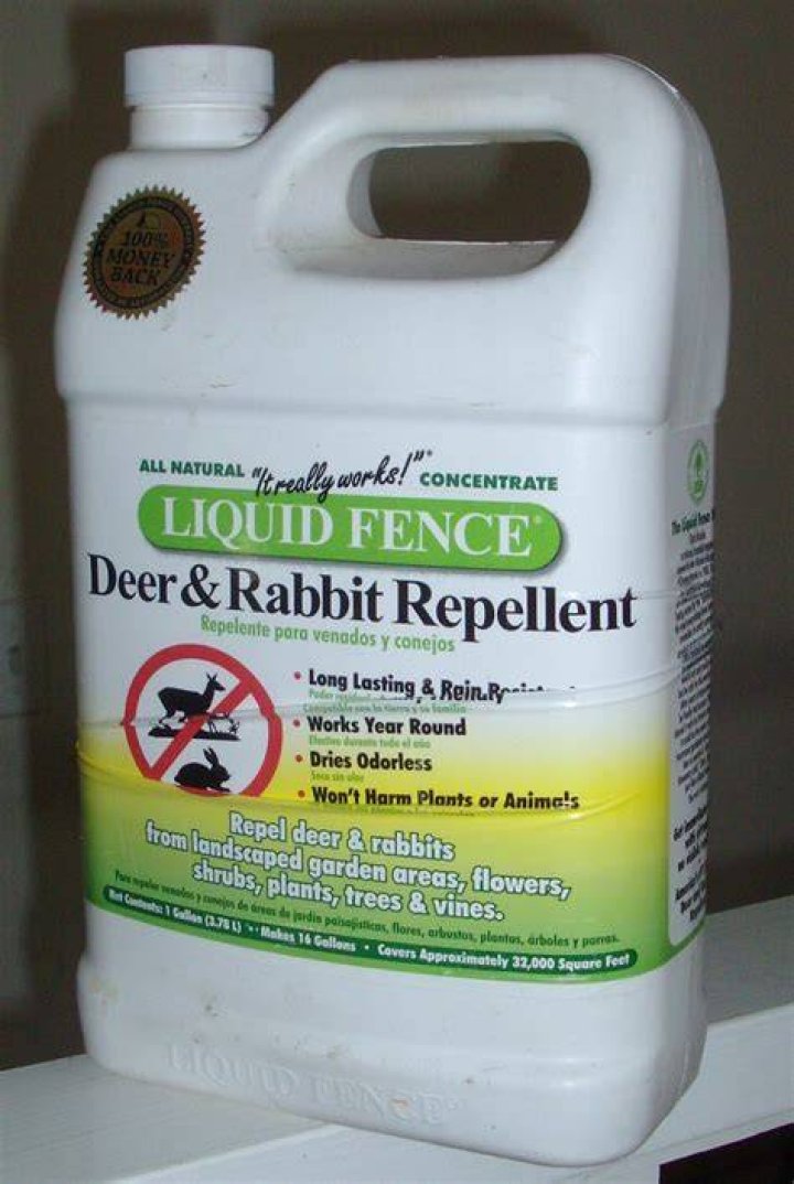 Is Liquid Fence safe for vegetables?