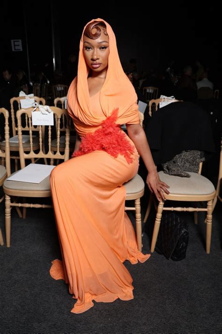 Is Megan Thee Stallion Pregnant? Rumors, Facts, and What We Know