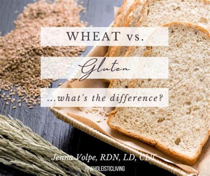 Is there a difference between vital wheat gluten and gluten flour?