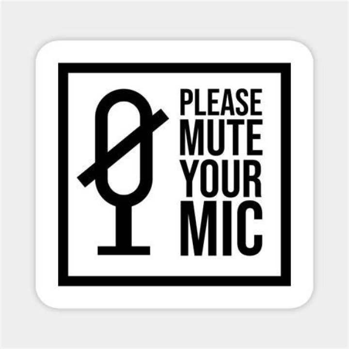 Mute Your Mic Boa: The Viral Phrase Taking Over Virtual Meetings
