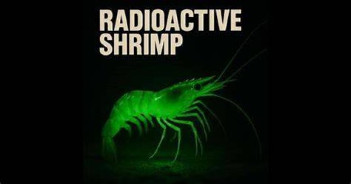 Radioactive Shrimp From Walmart Song: The Viral Track Explained