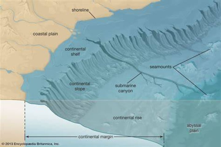What does a continental rise look like?