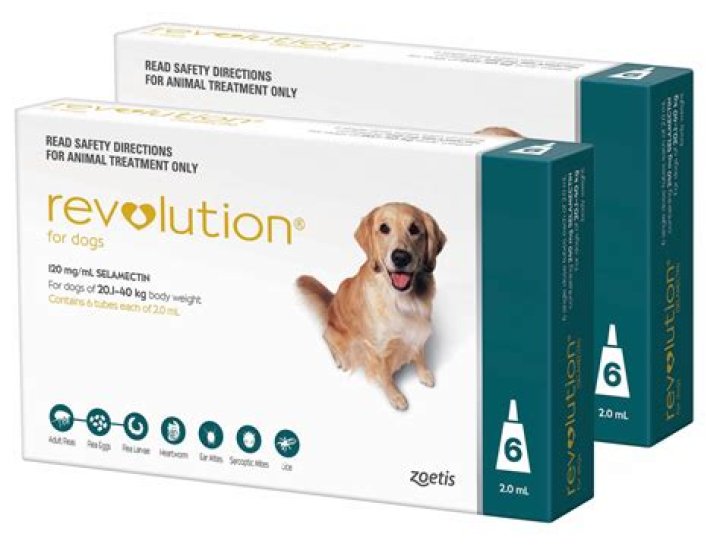 What does revolution for dogs treat?