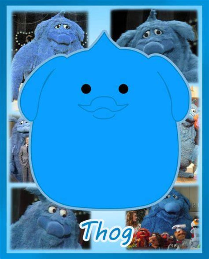 What is a THOG?
