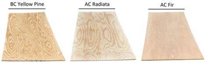 What is BC pine plywood?