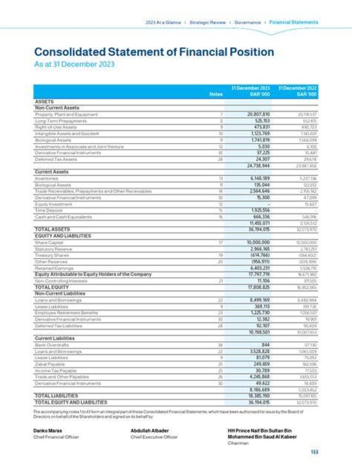 What is consolidated statement of financial position?