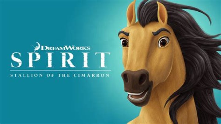 What is spirit the movie about?