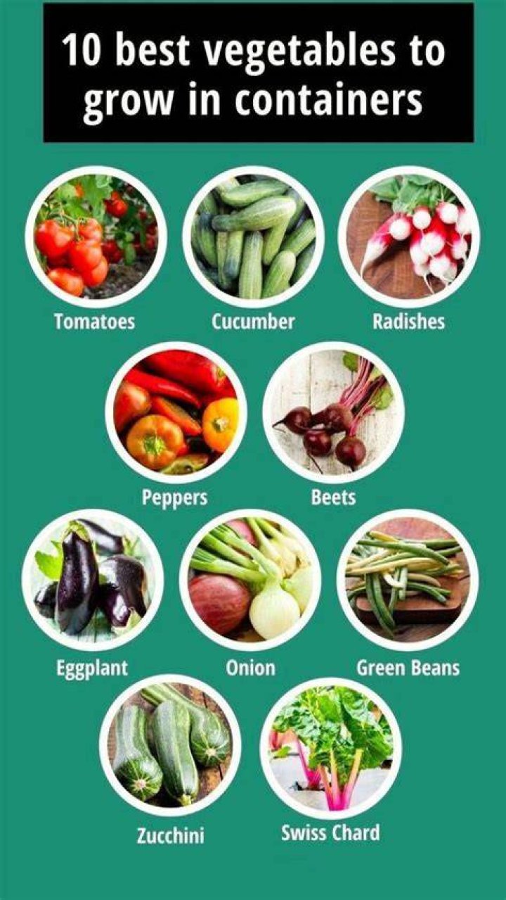 What is the best state to grow vegetables?