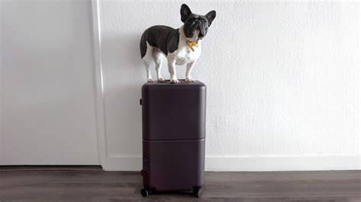 What is the best time to buy luggage?