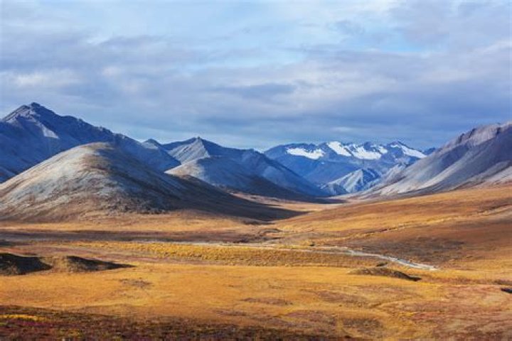 What is the climate like in a tundra?