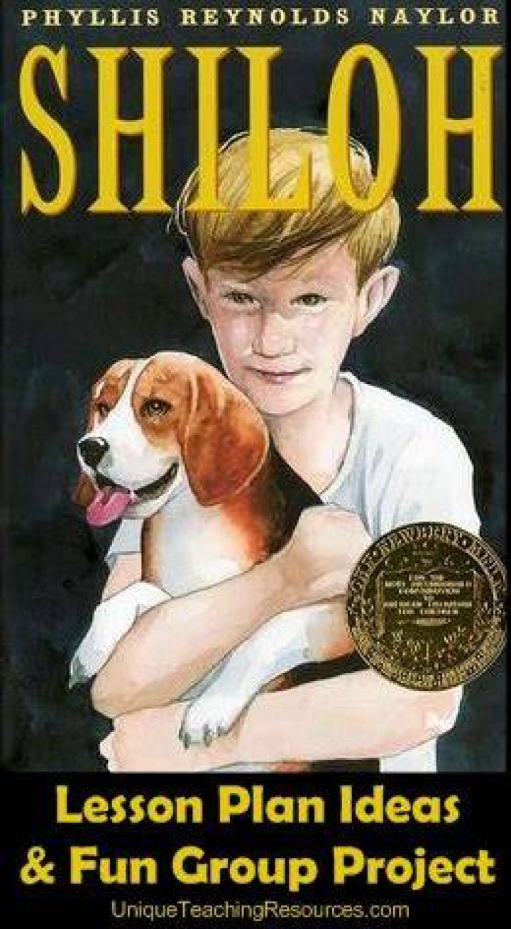 What is the lesson in the book Shiloh?