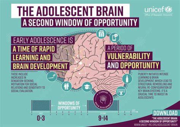 What is the window of opportunity brain development?