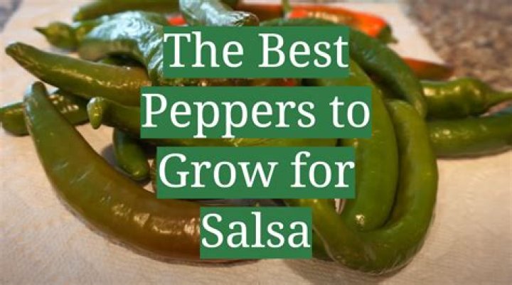 What peppers are best for salsa?
