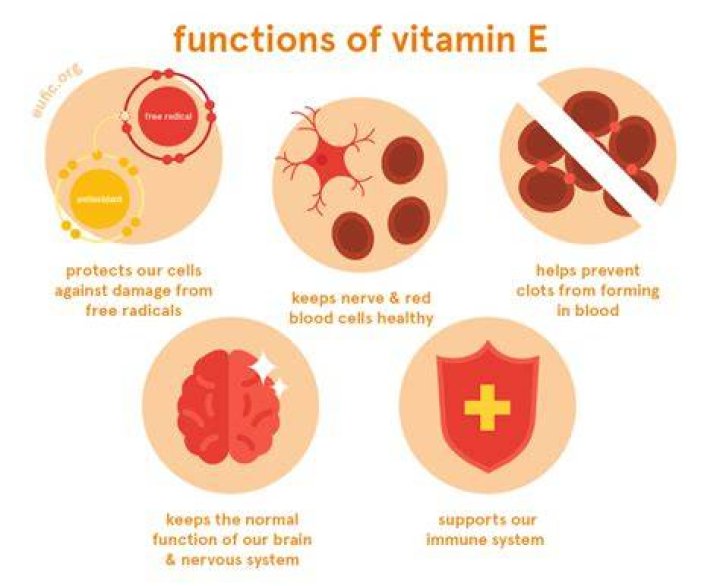 Which is a main function of vitamin E?