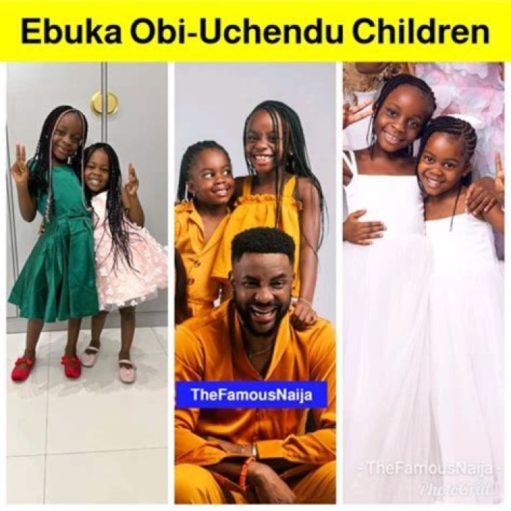 Who Is Ebuka Obi-Uchendu Wife Cynthia Obianodo? Net Worth Instagram Explored Of The Nigerian Lawyer