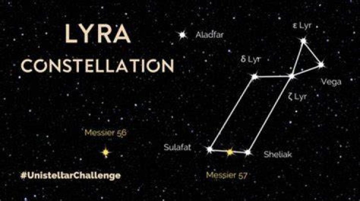 Who Is Kate Lyra? Wikipedia And Age Explored