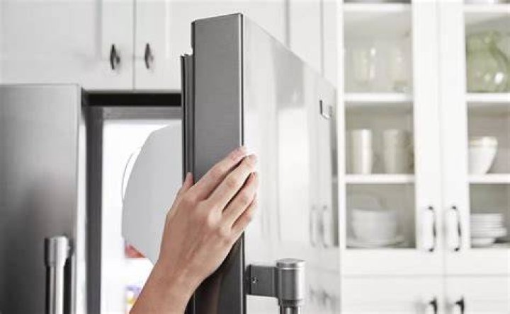 Why does my refrigerator make a high pitched noise?
