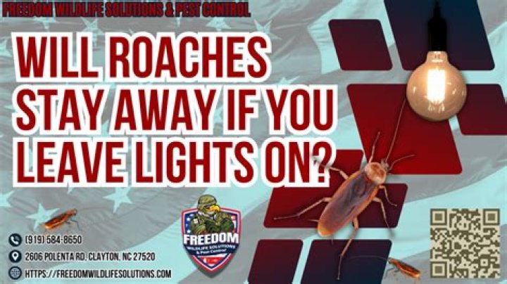 Will leaving lights on keep roaches away?